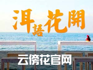 云傍花官网-民宿第一品牌